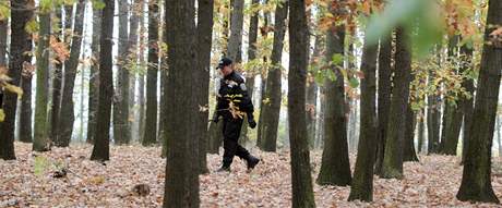 Policisté a hasii pokraují v pátrání po poheované Anice v praské Troji. (24. íjna 2010)