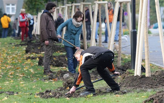 Stovka dobrovolník, pedevím partnerských dvojic a rodi s dtmi, zasadila ve Smetanových sadech dalí ást obnovované Rudolfovy aleje.