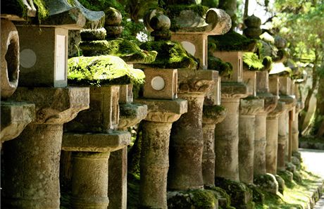 Japonsko, Nara, tisce luceren u intoistick svatyn Kasuga