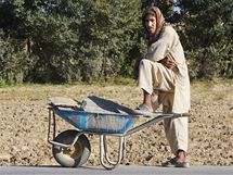 Afghnsk dlnk, kter stav hedvbnickou farmu v Powraku