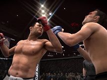 EA Sports MMA