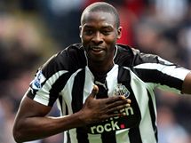 JE TAM! Shola Ameobi z Newcastlu United se raduje ze svho glu