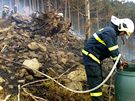 Hasii na Vsetnsku bojovali s lesnm porem, kter zachvtil plochu o rozloze jednoho hektaru. Kvli nepstupnmu ternu museli nasadit vrtulnk. 