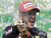VTZ. Sebastian Vettel z Red Bullu se raduje z vtzstv.