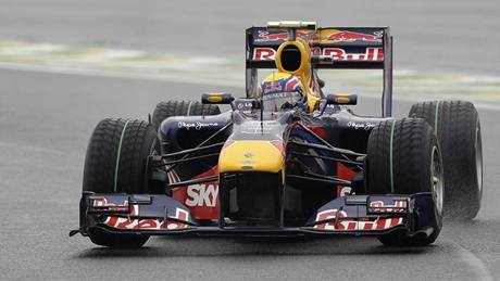 Mark Webber ze stáje Red Bull bhem detivého tréninku na Velkou cenu Brazílie.