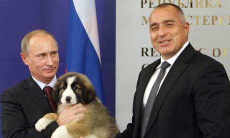 Rusk premir Vladimir Putin hk tn, kter dostal os svho bulharskho kolegy Bojka Borisova (13. listopadu 2010)