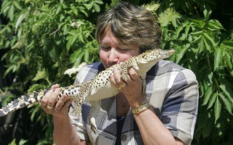 Slavnostní kest tí mláat Krokodýla kubánského (Crocodylus rhombifer) v Krokodýlí ZOO Protivín provedla Chargé d´Affaires ambasády Republiky Kuba Bárbara E. Montalvo. Jeden samec a dv samice dostali indiánská jména Hatuey, Siboney a Atabey.