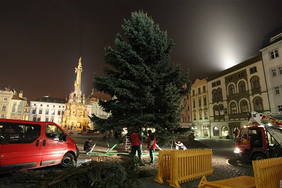 Letoní olomoucký vánoní strom, který stojí na Horním námstí, vybrala komise v mstské ásti Nemilany. U podruhé je tak strom pímo z msta.