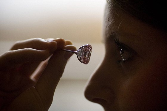 v enev byl vydraen rový diamant za rekordní cenu 45,44 výcarských frank 