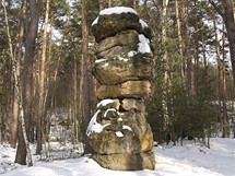 Skaln socha Sedm chleb, Kokonsko