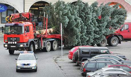 Nkladn auto piv za doprovodu policie vnon strom na nmst Pemysla Otakara II. 