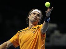 David Ferrer