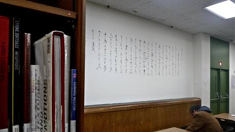 Cui Fei: Manuscript of Nature V Cui Fei: Manuscript of Nature V