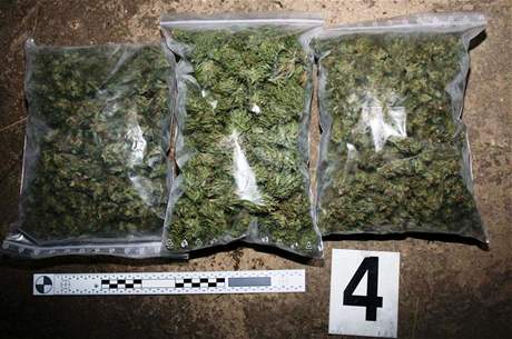 Policisté na Brnnsku zabavili 3 kila marihuany.