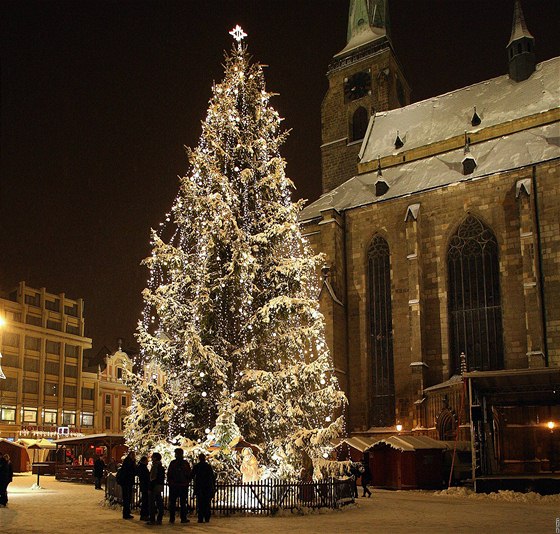 Vánoní strom na námstí Republiky v Plzni