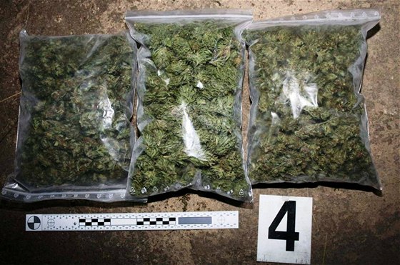 Policisté na Brnnsku zabavili 3 kila marihuany.