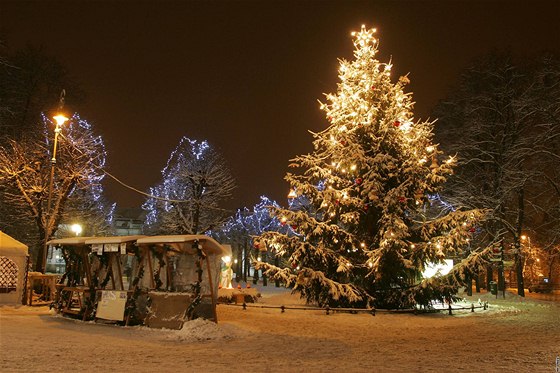 Vánoní strom v Karlových Varech stojí tradin ve spodní ásti tídy T. G. Masaryka