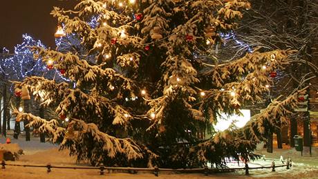 Vánoní strom v Karlových Varech stojí tradin ve spodní ásti tídy T. G. Masaryka