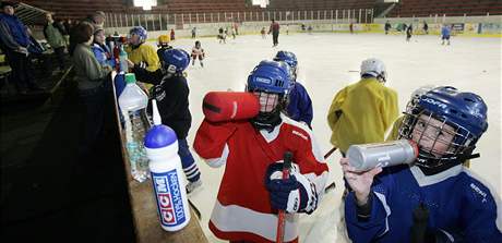Na stadionu v Teplicích vyrostlo mnoho pikových hokejist. Nyní dala hokejová pípravka pednost ledu v Bílin.