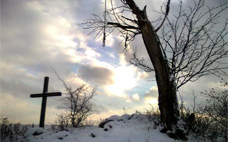 Oprátka na strom a kí nedaleko Andlské Hory na Karlovarsku. Ilustraní foto