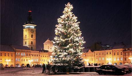 Vánoní strom v eských Budjovicích.