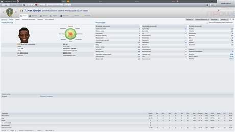 Football Manager 2011 (PC)