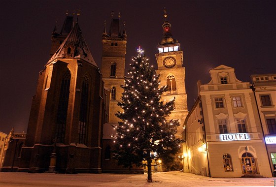 Vánoní strom 2010, Hradec Králové - Hradecký strom stojí na Velké námstí u...