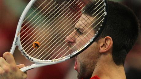 SRBSKÁ RADOST. Novak Djokovi ml ve finále Davis Cupu dvod slavit. 