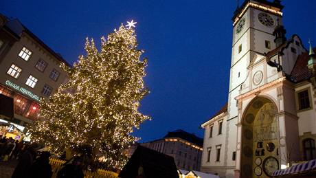 Vánoní strom stojící na Horním námstí v centru Olomouce. Vpravo radnice s orlojem.