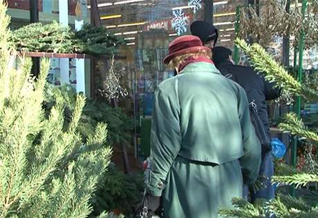 eská obchodní inspekce se o víkendu v Plzni vydala kontrolovat prodejce stromk, kapr i dárkového zboí. Ilustraní foto