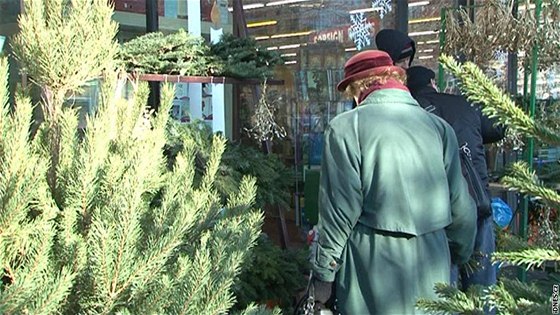 eská obchodní inspekce se o víkendu v Plzni vydala kontrolovat prodejce stromk, kapr i dárkového zboí. Ilustraní foto