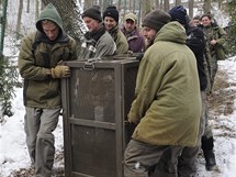 Pijezd novho tygra Bajkala do plzesk zoo