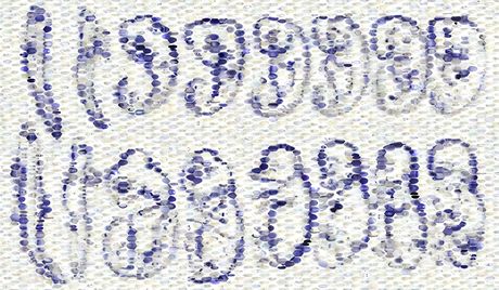 Mozaika slavných vyobrazení embryí obratlovc od Ernsta Haeckela