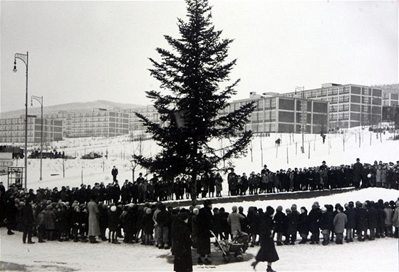 Stavba vánoního stromu eskoslovenského erveného kíe na námstí Práce ve Zlín v roce 1934.