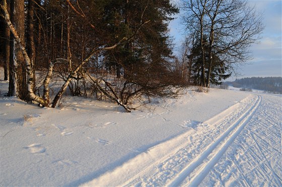 Na kraji lesa pod Javorovou skálou, eská Sibi