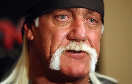 Hulk Hogan 