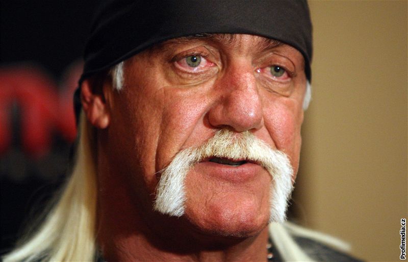 Hulk Hogan 