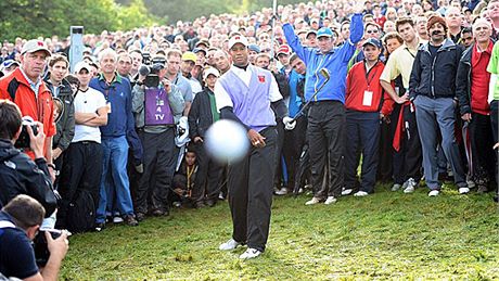 Tiger Woods, Ryder Cup