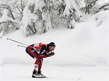 VTZKA. Polsk bkyn na lych Justyna Kowalczykov vyhrla i druh zvod Tour de Ski.