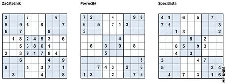 Sudoku 19. 1. 2011