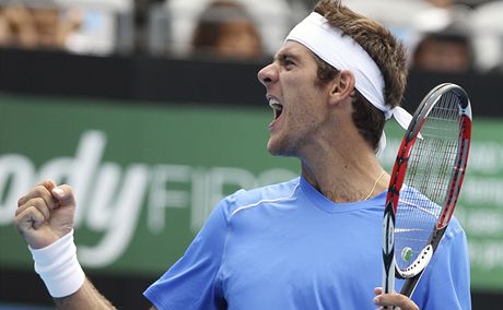 Juan Martin Del Potro se raduje z první výhry po tém 12 msících