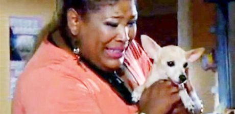 Hereka Omeris Arrietová, která v kolumbijské telenovele pedstavuje Venezuelu, s psíkem Hugoukem