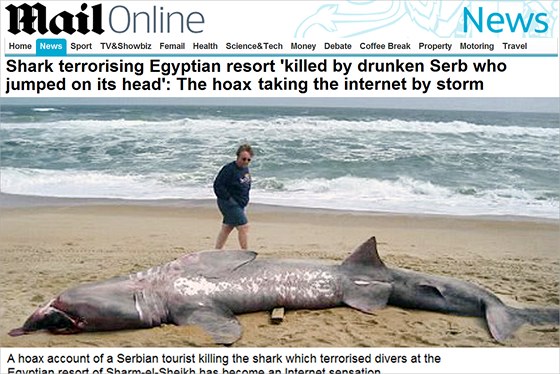 Tohle ml být ralok, kterého v arm a-ajchu zabil opilý srbský turista. Zpráva vak byla internetovou kachnou. Na snímku je tlo raloka velikého na plái v Severní Karolín.