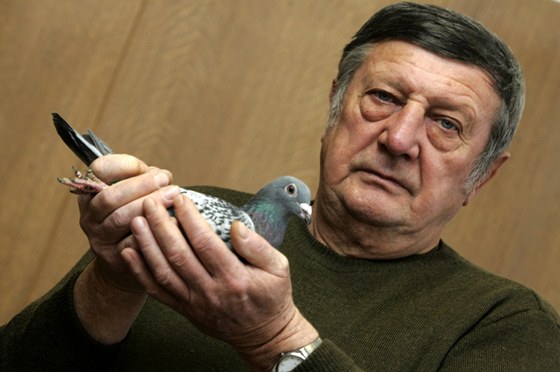 Jaroslav Prka z Dolního Nmí vyhrál v kategorii "standard holubice".