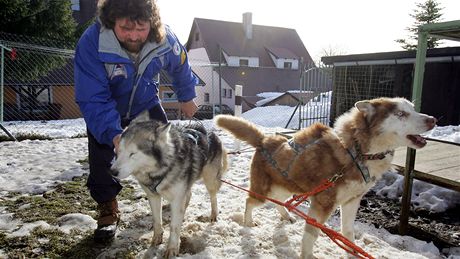 Musher Milan indelá a psí speení sibiských husky.