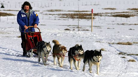 Musher Milan indelá a psí speení sibiských husky.