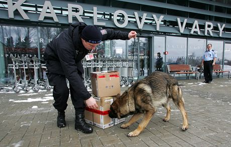 Policejní psovod Petr Zeman a Charis musí zkontrolovat i balíky, které na letit piveze zásilková sluba.  