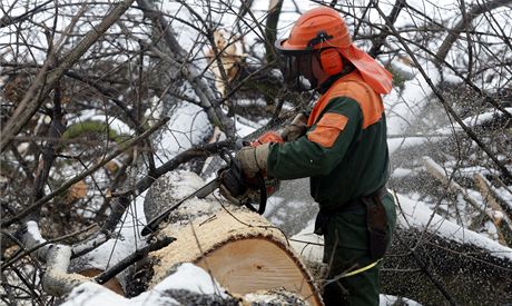 Pi práci v lese na Klatovsku smrteln zranil tpkovací stroj 38letého mue (ilustraní snímek).