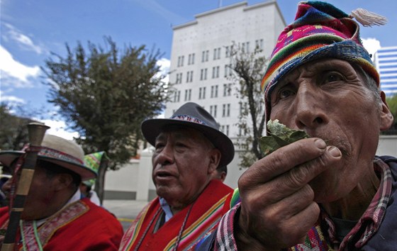 Zastánci výkání lístku koky se seli ped americkou ambasádou v La Paz (27. ledna 2011)