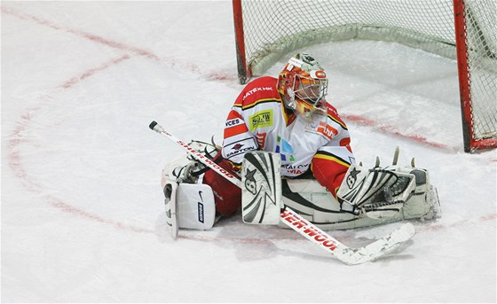 Hradecký branká Luák pi utkání mezi HC VCES Hradec Králové vs. HC Berountí medvdi (22. ledna 2011)